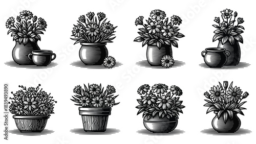 Arrangement of monochrome floral designs in decorative pots and vases