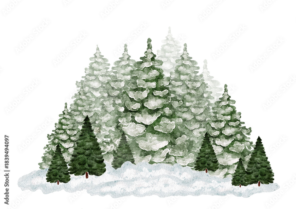 Obraz premium Winter landscape with snow covered evergreen Christmas trees isolated on white.