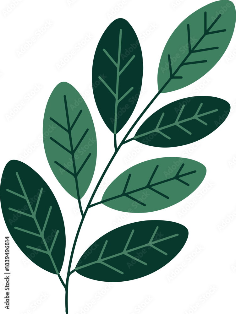 Naklejka premium Dark Green Leaves on Stem Simple Flat Illustration leaf plant