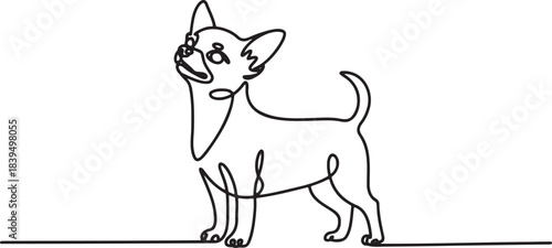 Elegant continuous line drawing of proud standing chihuahua small dog breed portrait simple vector one line art