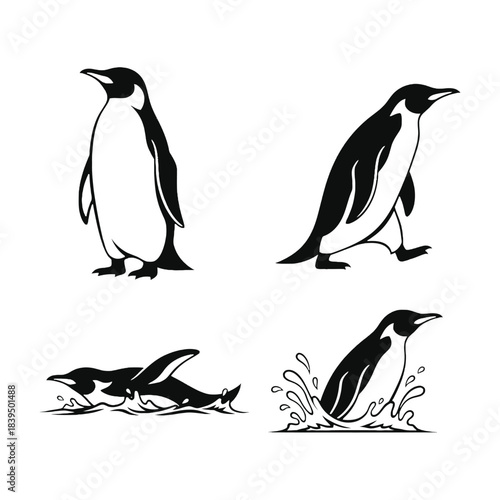 Two standing penguins and two swimming penguins in a black and white design