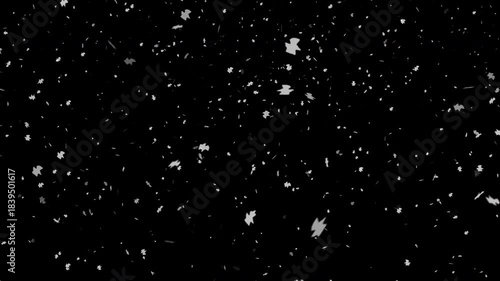 Numerous white objects like snowflakes scattered across a black background.