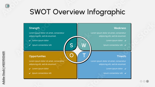 SWOT Overview Infographic