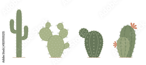 Set of cute cactus. Hand drawn colored flat isolated vector illustration on white background.