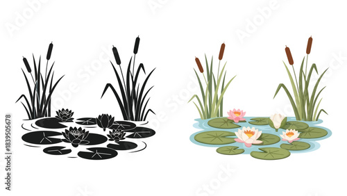 Contrasting depictions of cattails lily pads and water plants in illustration