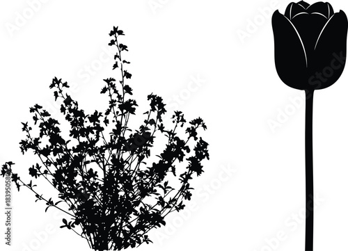 Elegant floral arrangement featuring a tulip and fern in a striking black silhouette