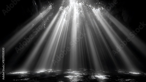 Ethereal Light Beams Shining Through Dark Forest Canopy shine glow photo