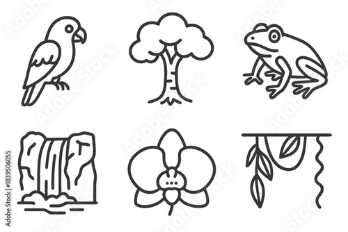 Rainforest Line Icons. Line style icons of Rainforest Ecosystem: parrot, tropical tree, frog, waterfall, orchid flower, canopy