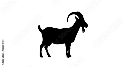 A lone tree silhouette against a dark background silhouette