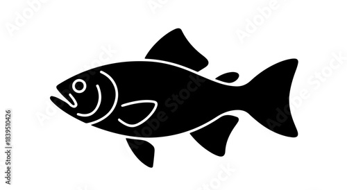 A solitary tree silhouette against a dark sky silhouette