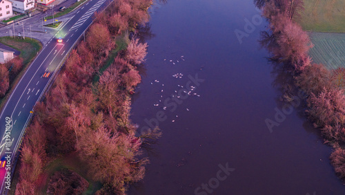 Schwäne schwimmen in einem Fluss in der Stadt während des Sonnenuntergangs