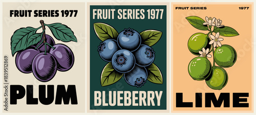 Retro 1977 fruit poster trio featuring plums blueberries and limes in bold color blocks with hand drawn botanical style and clean typography