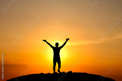 Wallpaper Mural A person stands silhouetted against a setting sun, arms outstretched, exuding a sense of freedom and achievement. The warm colors of the sunset create a dramatic backdrop Torontodigital.ca