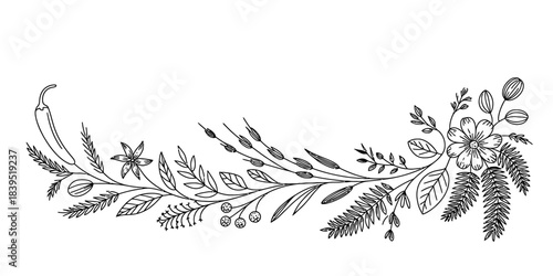 Elegant hand drawn botanical border illustration featuring chili pepper, diverse leaves, delicate flowers, and berries, perfect for invitations and branding designs. Vector, illustration