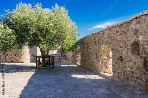  Stone courtyard in Ulcinj’s Old Town, Montenegro, featuring an olive tree framed by ancient fortress walls. Warm sunlight highlights the texture of the historic masonry under a clear blue sky.