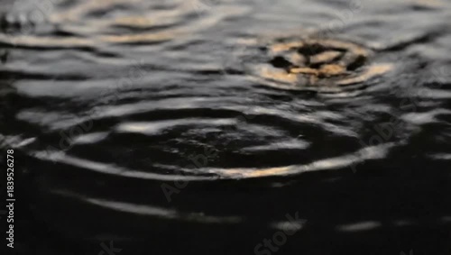 Ripples in the dark: A circular ripple expands across the dark, reflective surface of water, creating an intricate pattern of concentric rings and highlighting the play of light and shadow