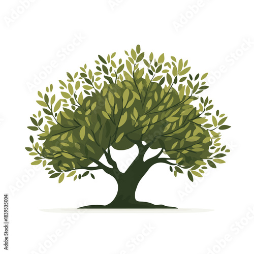 Clean 2D flat vector depiction of a Olive Tree, designed in minimalist modern style with white background.