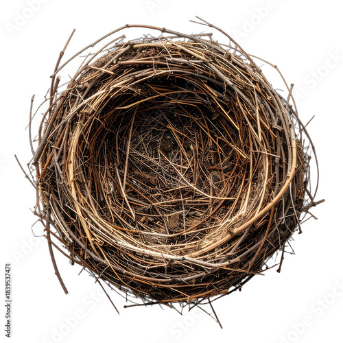 A detailed, top-down view of an empty bird's nest against a solid black background.