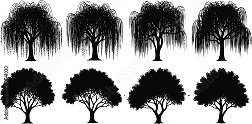 Black Silhouette Vector Set of Weeping Willow and Deciduous Round-Top Trees, Illustrating Forest, Nature, and Landscape Design Elements for Architecture.