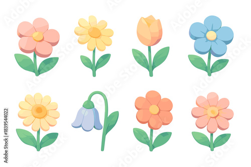 Colorful floral set with various flowers on white background