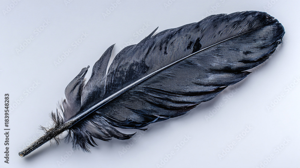 Fototapeta premium A single, striking black feather lies against a bright backdrop, its intricate texture and dark hue drawing the eye.