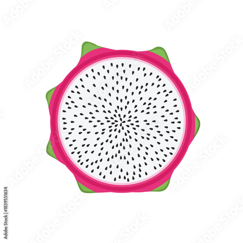 Round slice of fresh dragon fruit (pitaya) with white flesh and black seeds vector illustration isolated.