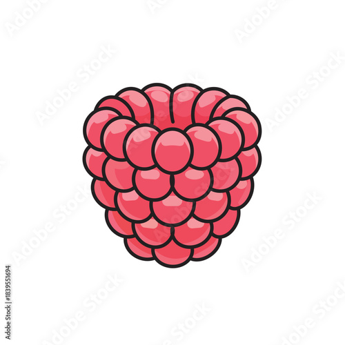 Single fresh ripe red raspberry fruit vector illustration isolated on white background, healthy organic food.