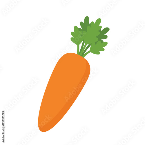 Single fresh orange carrot vegetable with green leaves vector illustration isolated on white background.