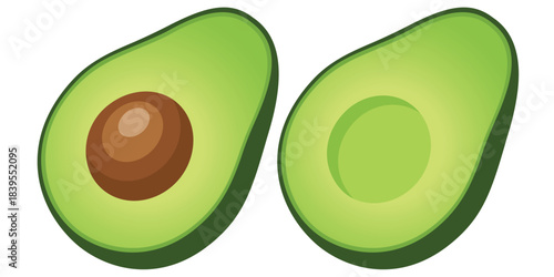 Two halves of fresh green avocado fruit with brown seed vector illustration isolated on white background.
