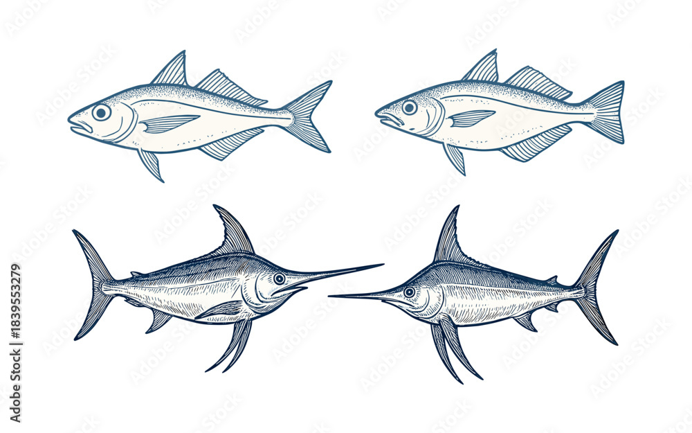 Fototapeta premium Swordfish and Whitefish Vintage Engraving Sketch Set