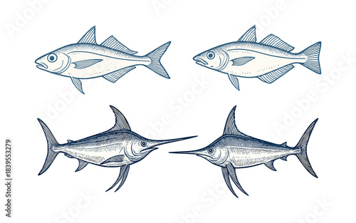 Swordfish and Whitefish Vintage Engraving Sketch Set