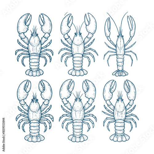 Hand-Drawn Lobster Collection in Blue