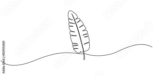 Bird of Paradise Banana Leaf Continuous Line Drawing, Continuous one line drawing of banana leaf. One line drawing illustration of banana leaf. Tropical leaf concept line art. outline, organic shapes.