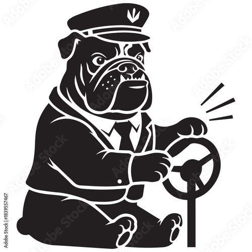 Bulldog chauffeur driving steering wheel Vector, illustration