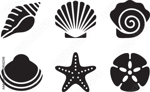 Six Black Silhouettes of Various Seashells and Starfish on White Background sand dollar