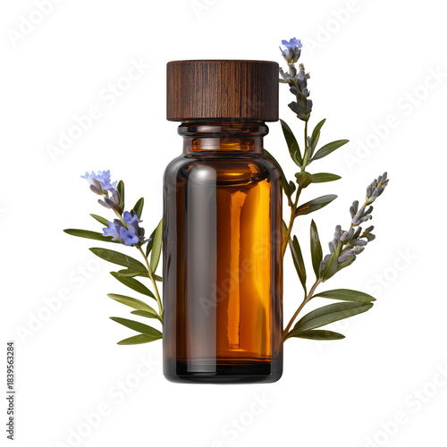 Essential Oil Bottle With Lavender and Leaves on a Plain Background