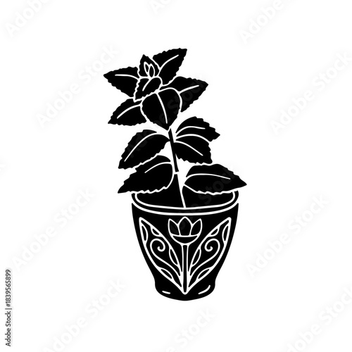 Hand drawn line art mint plant in pot icon silhouette vector illustration. Doodle aromatic tea herb clipart