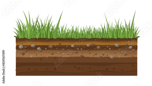 a detailed illustration showcasing a cross section of healthy soil layers with vibrant green grass growing above it depicting earth s structure