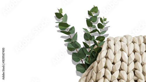 Eucalyptus leaves and chunky knit blanket on a white background