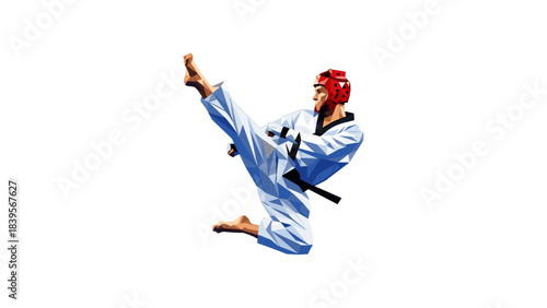 Abstract illustration of a taekwondo athlete performing a flying kick