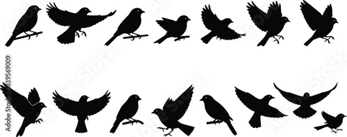 Bird silhouette icons set featuring flying birds, perched birds, wings spread, wildlife shapes, nature animals, flight motion, and avian illustrations