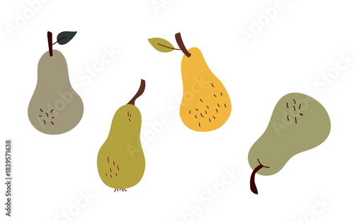 Set of hand drawn pears. Vector illustration, flat design