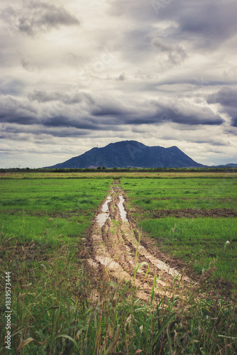 Rural dirt road with puddles crossing a green field toward a mountain under dramatic cloudy sky after rain.