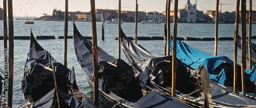 Traditional gondolas rolled by light waves near high wooden poles at Grand Canal at sunset in Venice. Old paddle boats for tourists riding in port of harbor town. Anamorphic lens