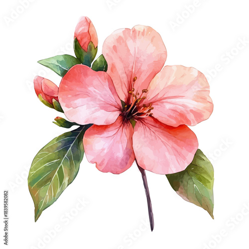 Pink Flower, playful watercolor vector depicting lively antics and expressive gestures, isolated on a white background.