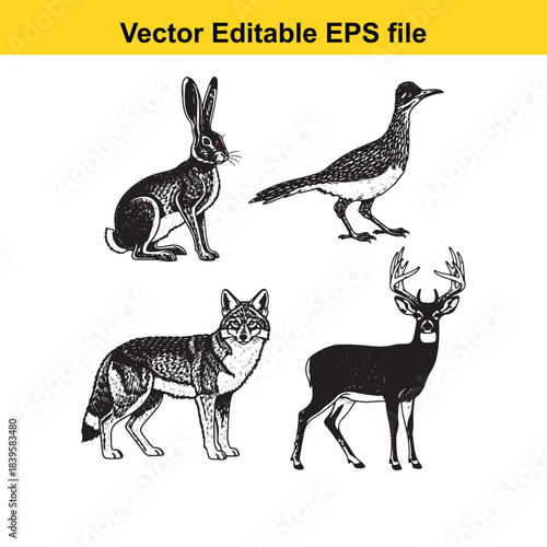  vector illustration of various desert animals in editable eps format for design