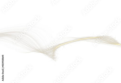 Abstract white and golden flowing lines creating a smooth elegant wave isolated on a clean white background.