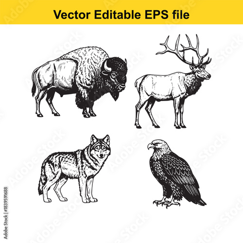  vector illustration of bison, elk, wolf, and eagle in editable eps format for design