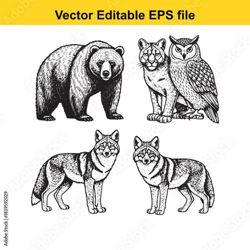  vector illustration of a bear, owl, and two wolves in black and white