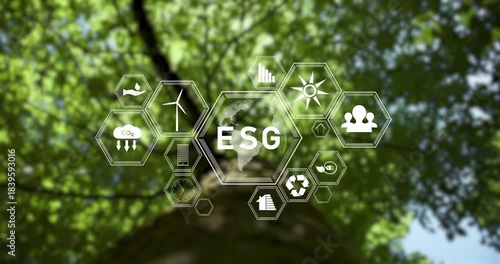 ESG eco icons on blurred sunny green canopy of a beech tree. Environment, society and governance. 